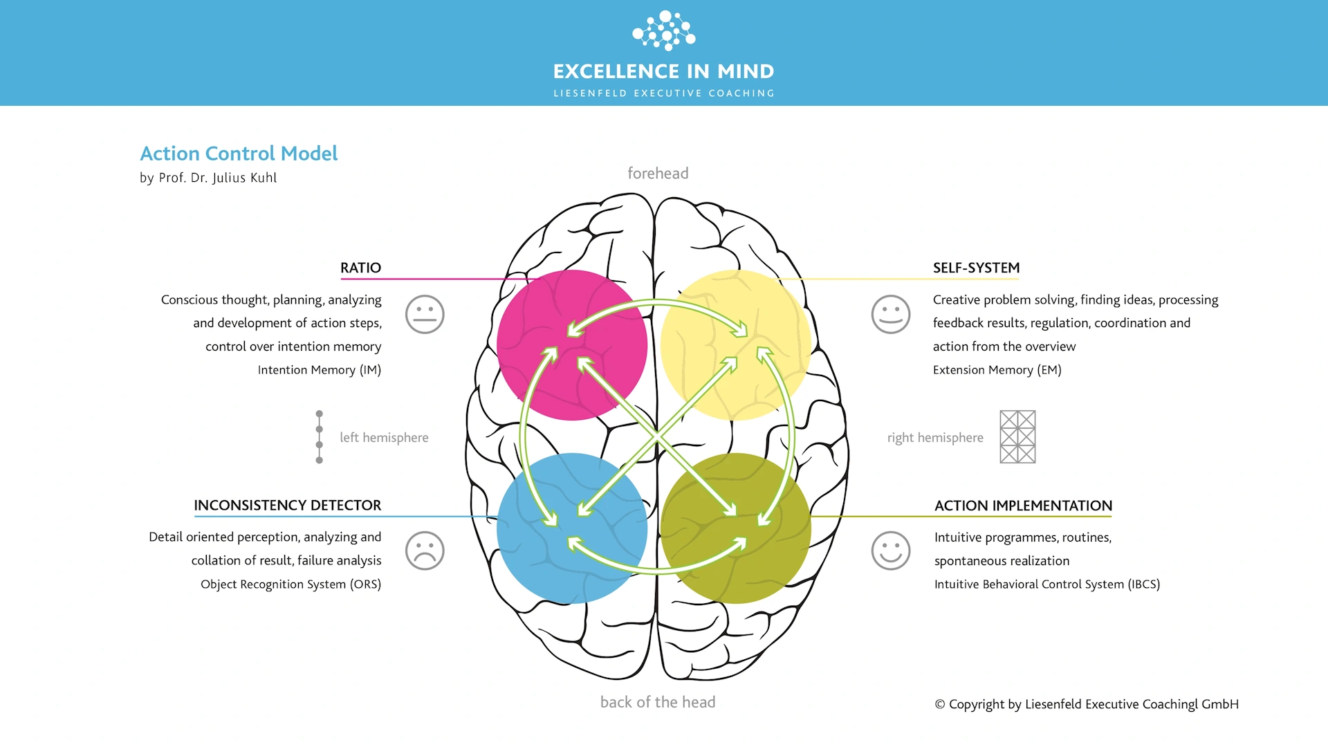 action-control-model-02